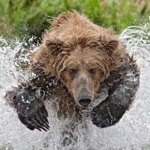 Meet your Posher, Helen